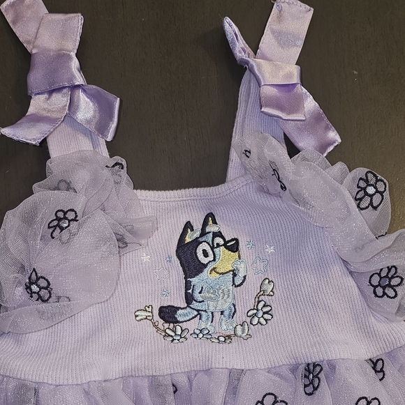 Bluey Purple Tulle Dress Size 3T - Picture 2 of 5